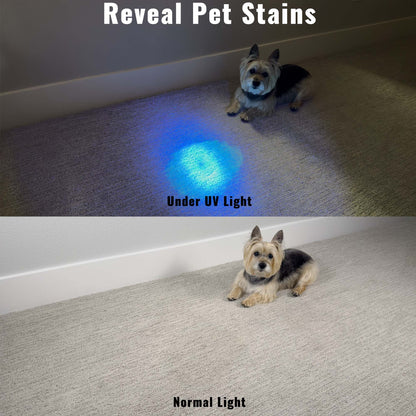 The 365nm Convertible UV Flashlight